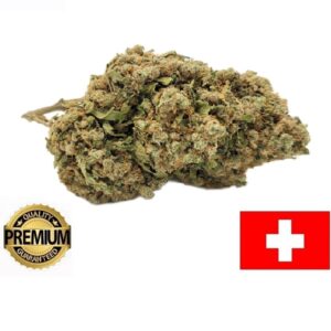 FRUITY LOOP - Culture Indoor Premium CBD Suisse