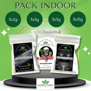 PACK INDOOR