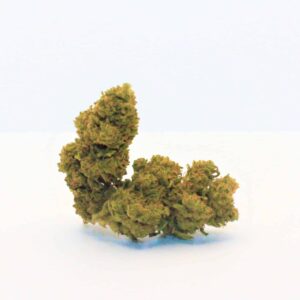 White Widow SMALL BUDS (petites têtes)